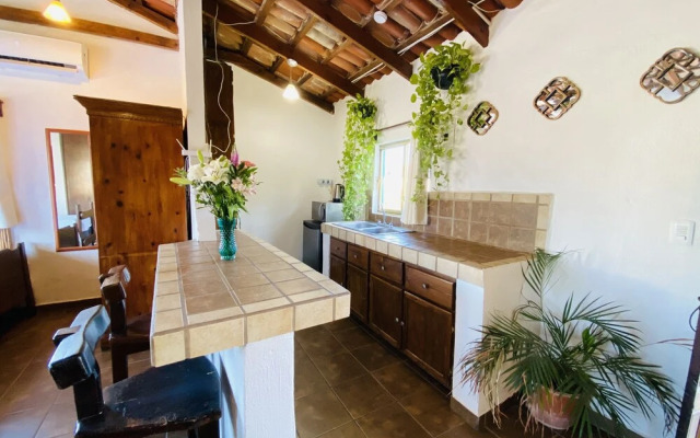 CABO BOHEMIA Tropical Garden Studios
