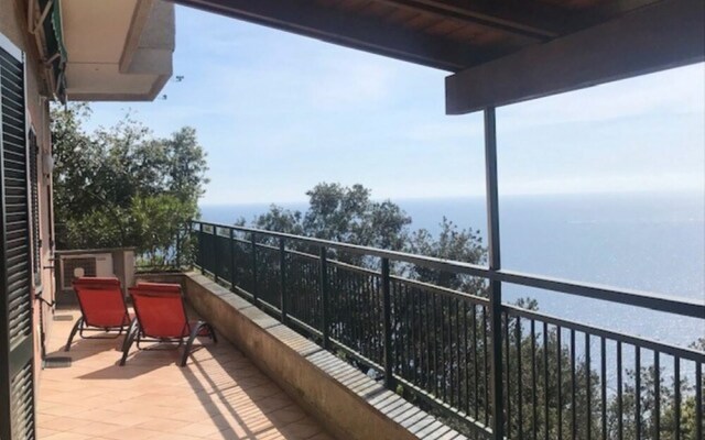 Lambrusca Moneglia in Moneglia