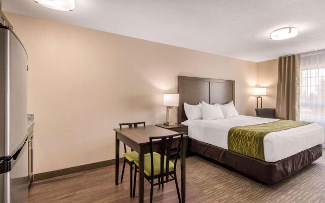 Comfort Inn & Suites Red Deer