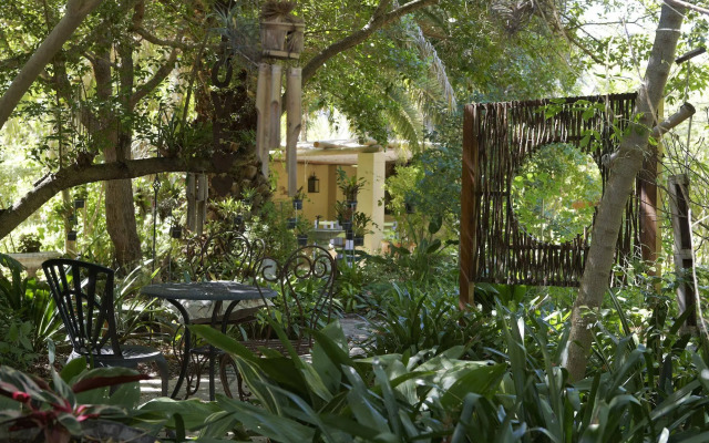 Yellow Aloe Guesthouse