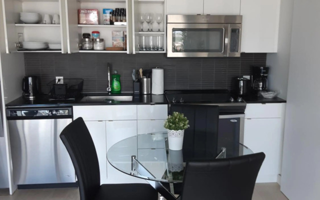 Luxury skyline condo in downtown FREE 24/7 parking