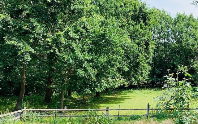 Ostsee Lounge Apartments