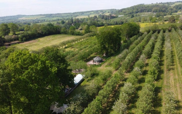 Dragon Orchard Retreat