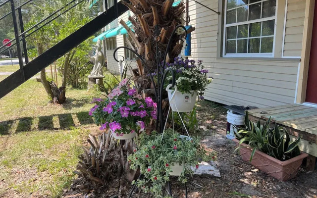 Nature Coast Inn and Cottages