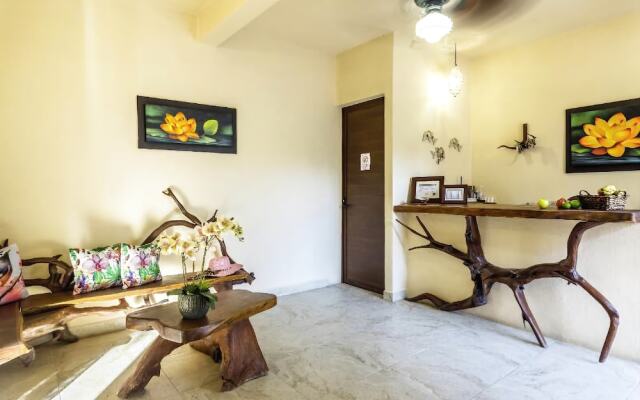 Macondo Raíz Holbox