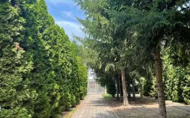 Hotel Bungallo