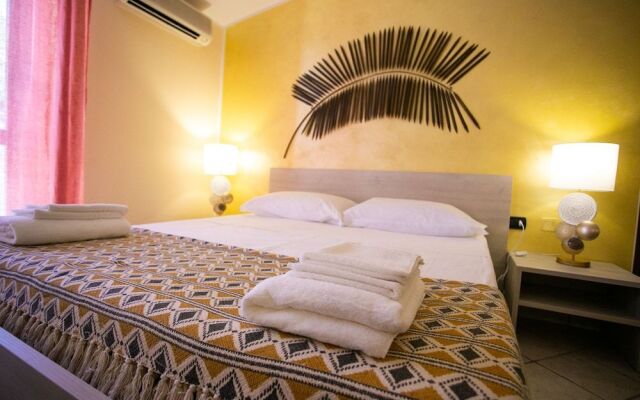 B&B Trepo