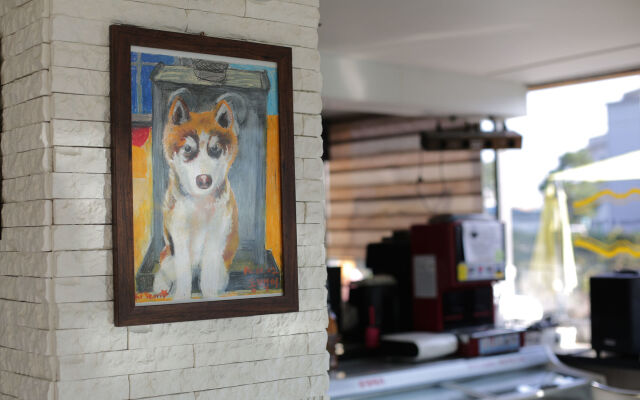 If Guesthouse - Hostel