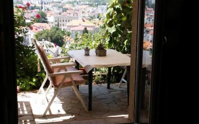 Guesthouse Panorama