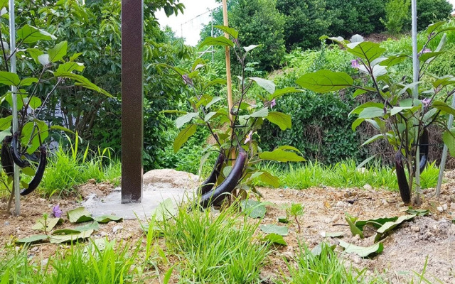 Mokpo The Seolleim Guest House