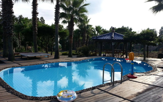 Palace in the Forest Pension