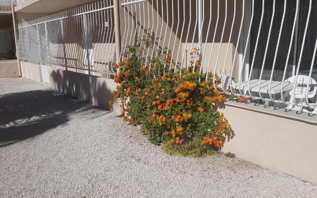 Le Patiot 2