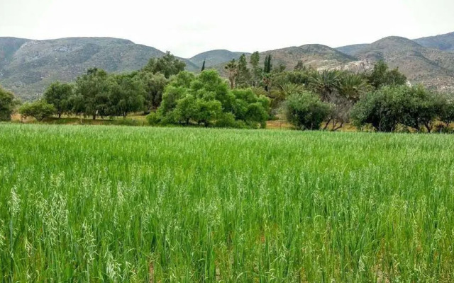 Rancho Toros Pintos