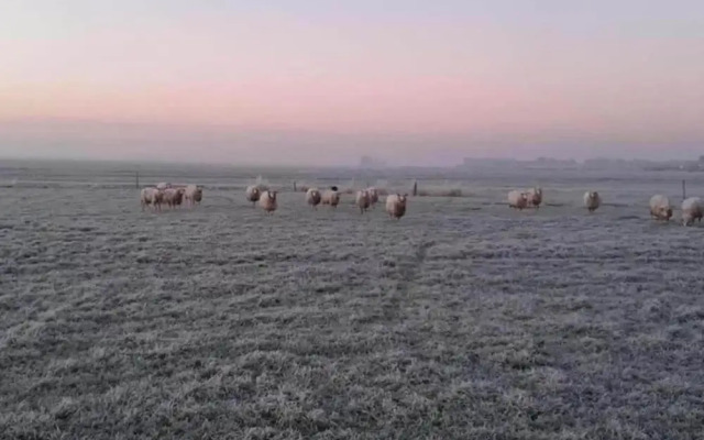 Tranquil Lakeside Stay for 4 Guests