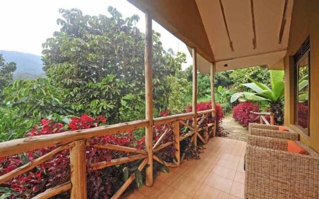 Gorilla Safari Lodge