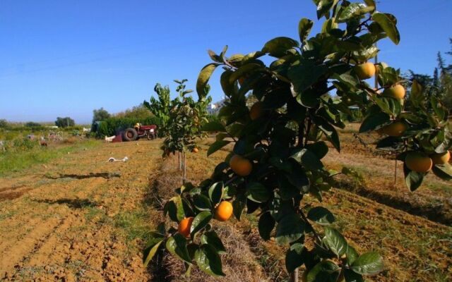 Quintinha da Foz Guest House