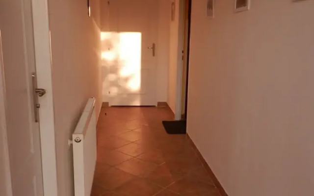 Apartment Boroví
