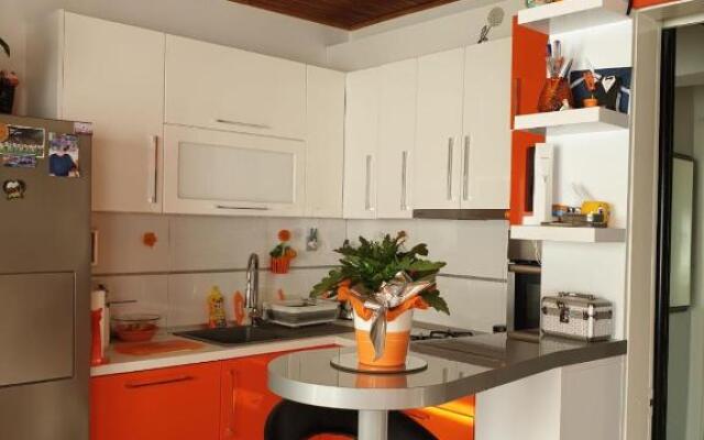 Apartment Šarić