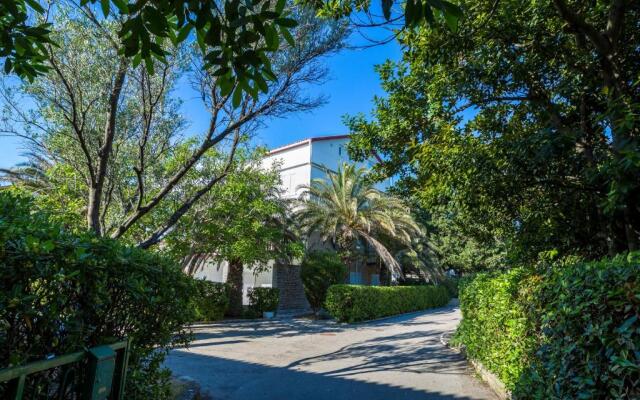Pool Apartments Galeb
