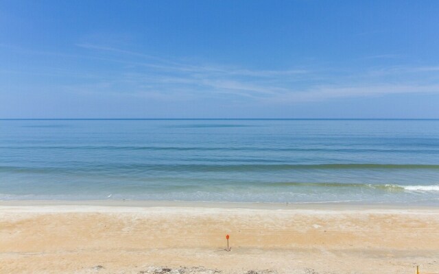 Dolphin Paradise