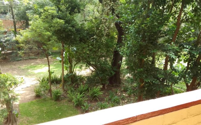 Central Sant Apartment