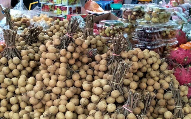 Sandy Serviced Apartment