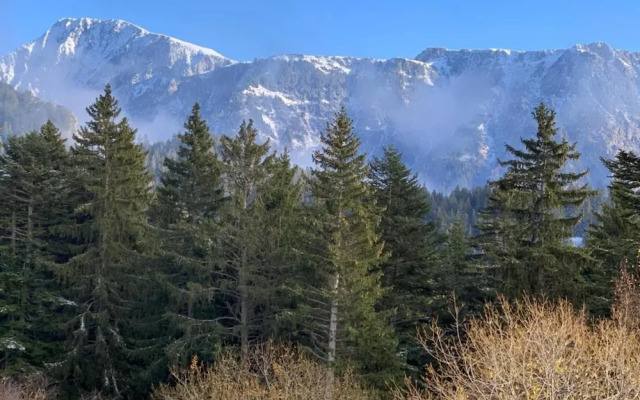 Serene Alpine Stay for 6 Guests