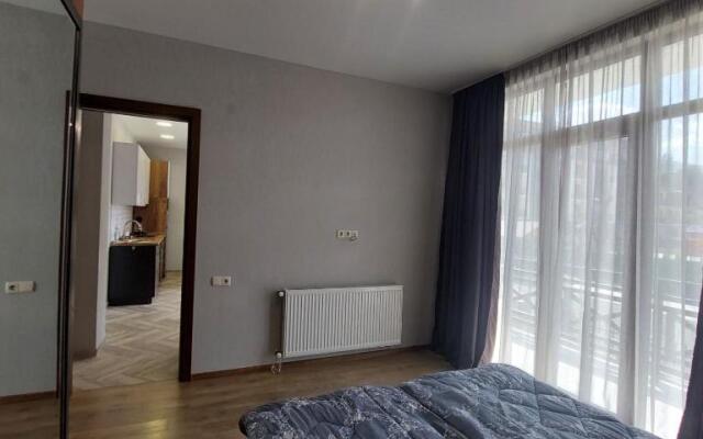 Apartment 102 Bakuriani
