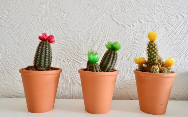 Stylish & Modern Flat Near City Centre, Edinburgh