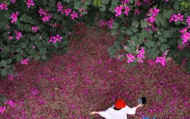 Xikang Yunshe Wellness & Resort Hainan