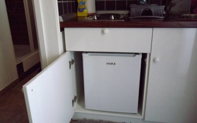 Cozy Apartment 16 With Double bed Sleeper Couch