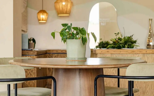 Soul Spring Sanctuary Cuernavaca