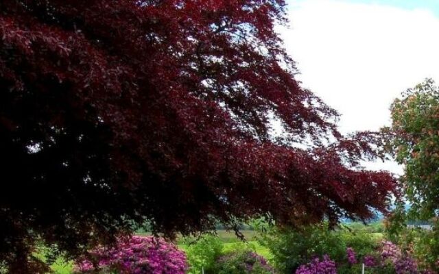 The Urr Valley Country House Hotel