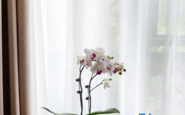 WuYu Hotel（Beibei District Government Zhuang Yuan Bei Light Rail station)