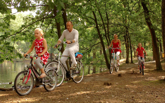 Nice Chalet With air Conditioning, in a Holiday Park at 12 km. From Eindhoven