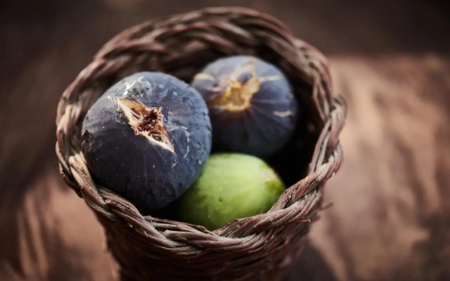 Cascioni Eco Retreat