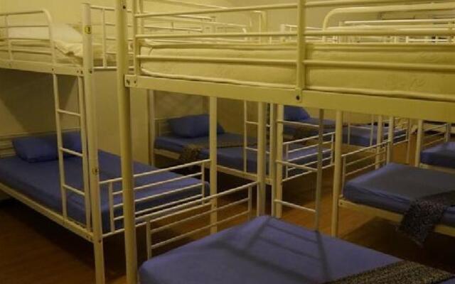 Best Bunk Beds Lodge