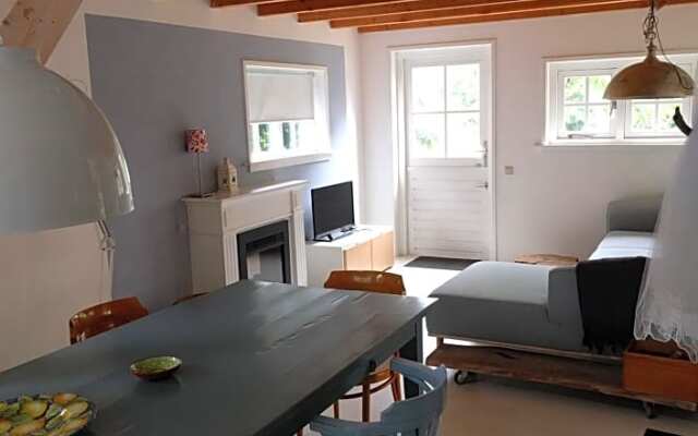 Studio Blue Beech