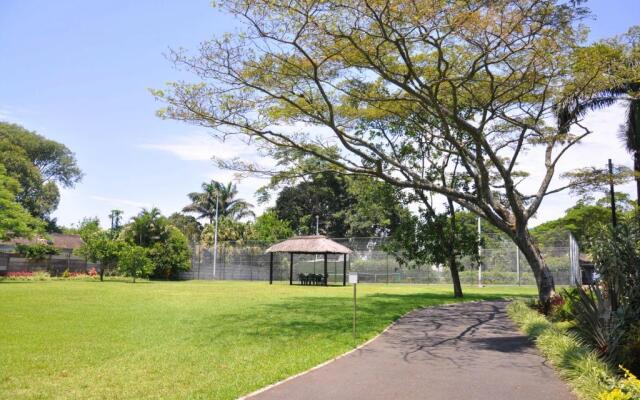 Birds of paradise B&B