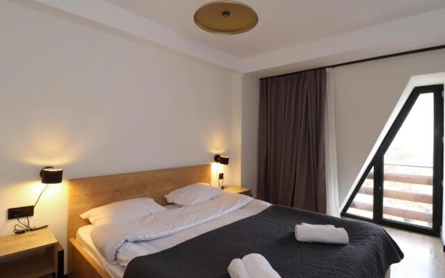 Bright and Cozy 1BR Apartment In Marshall Gudauri Project