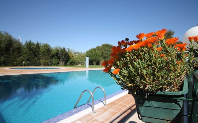 Sunny and Cozy Apartment by Lago Azul