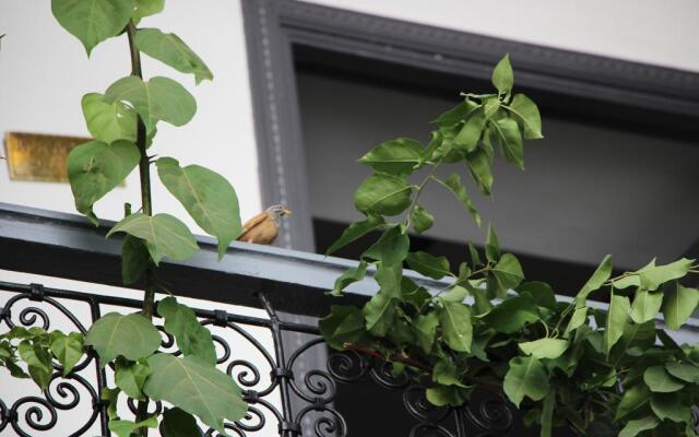 Bougainvillea Riad