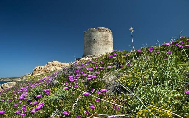 Isola Rossa Borgo Mare - Agenzia Isola Rossa