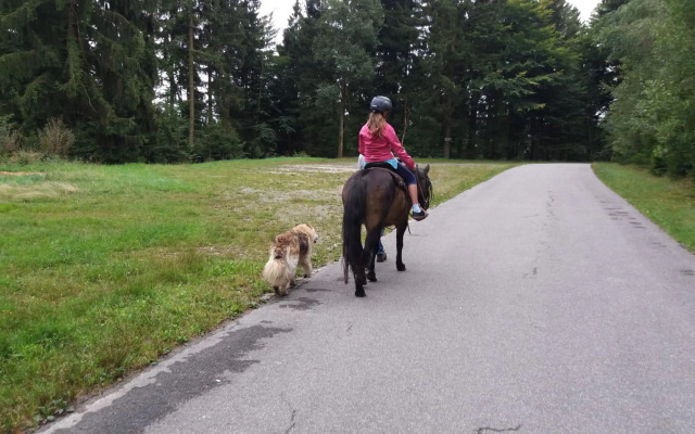 Ferienwohnung auf dem Erlebnisreiterhof Kreipl