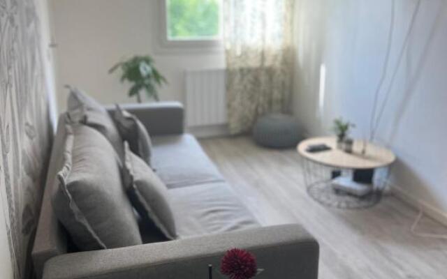 Charmant T4 en plein cœur des chartreux