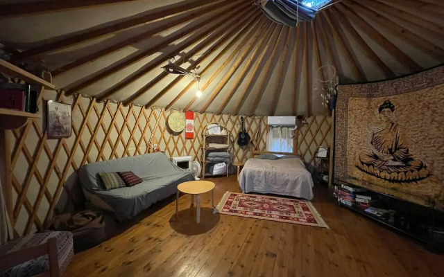 Yurt Located in a Little oak Grove