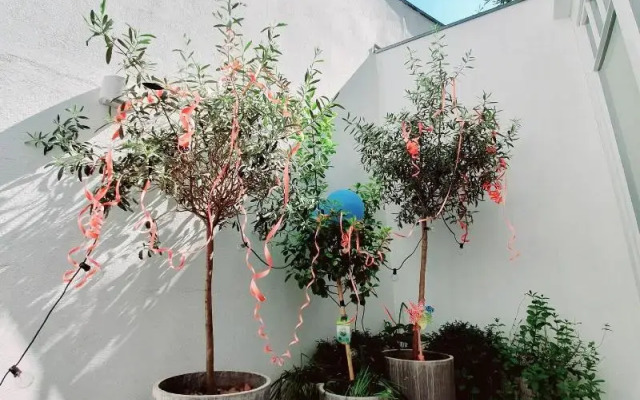 MAISON MARSIL Boutique Hotel