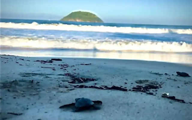 Beachside - Casa Sirena 1BR Suite