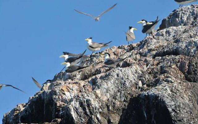 North Coast Hotel Fu-Shin