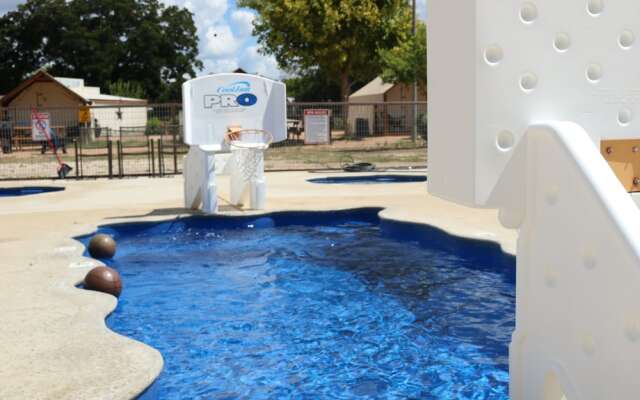 5 Son's Geronimo - Birdhouse Cabin